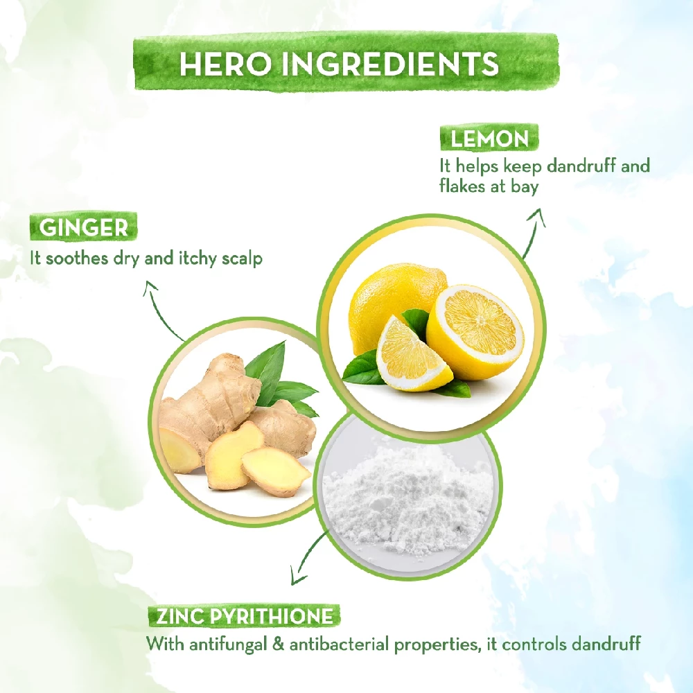 Lemon Anti-Dandruff Conditioner with Lemon & Ginger for Soft & Smooth Hair, 250 ml-2.webp